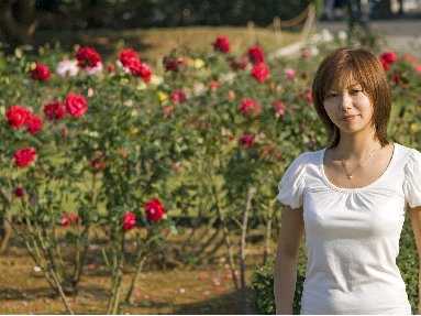 在留許可帰化ビザ入管